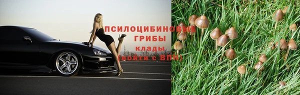 МДПВ Красноперекопск