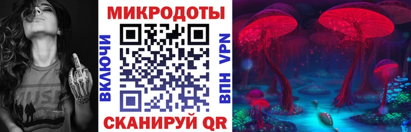 Псилоцибиновые грибы Psilocybine cubensis  Владикавказ 
